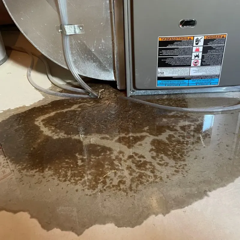Pipe Burst and Leak Restoration in Muscogee County, GA
