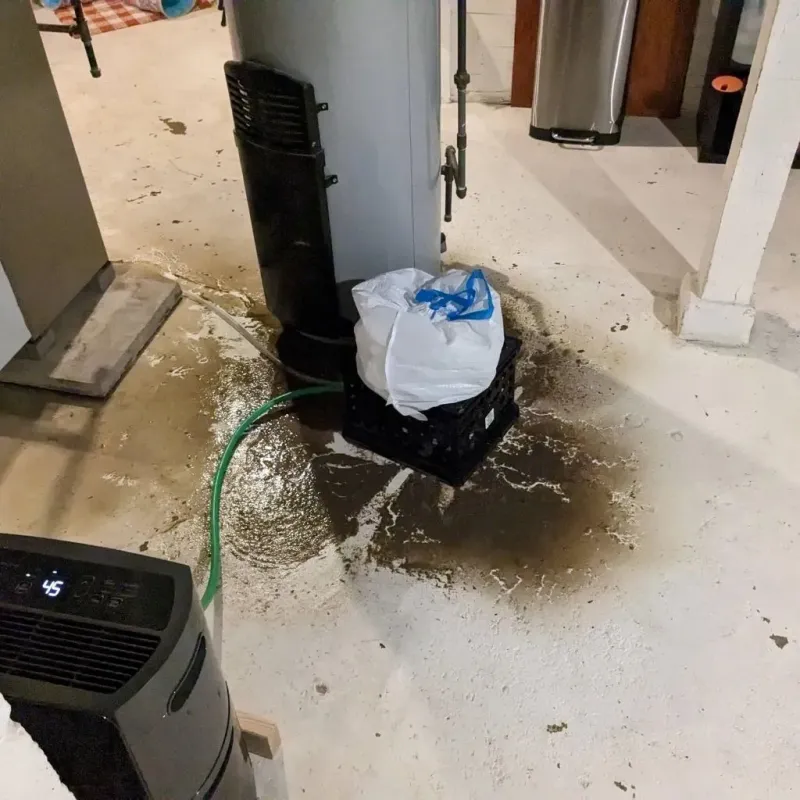 Sewage Backup Cleanup Service in Muscogee County, GA